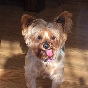 Meet your Posher, Patrick